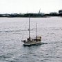 Shimizu, Japan - Locals Turn Out for Sail Away